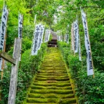 杉本寺の苔階段
