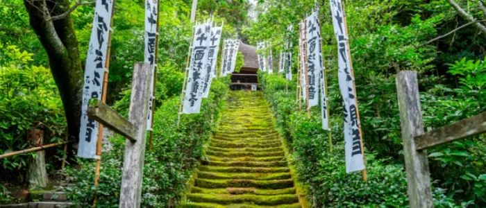 杉本寺の苔階段