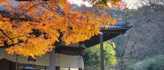 安国論寺の紅葉