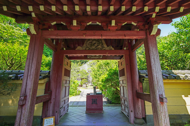 pixta_55688672_S | 镰仓观光完全指南 光則寺