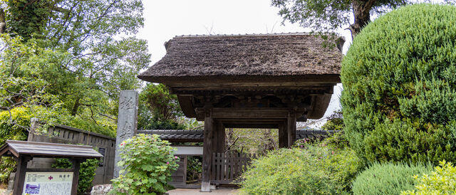 極楽寺