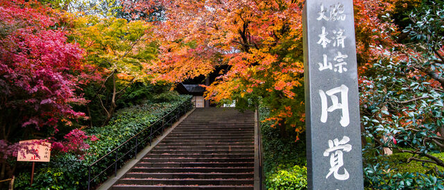 円覚寺の紅葉