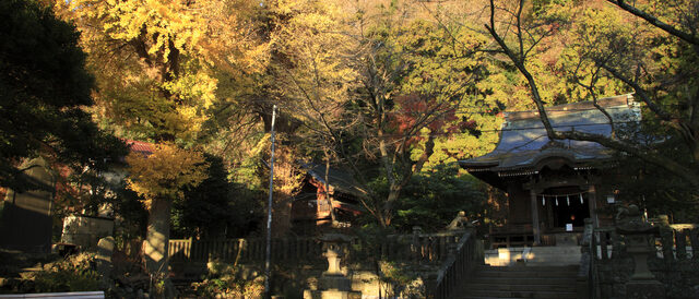 御霊神社の紅葉