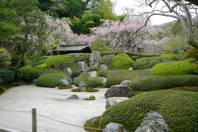 明月院の梅 pixta_101736198_S | 카마쿠라 관광 완전 가이드 明月院の梅