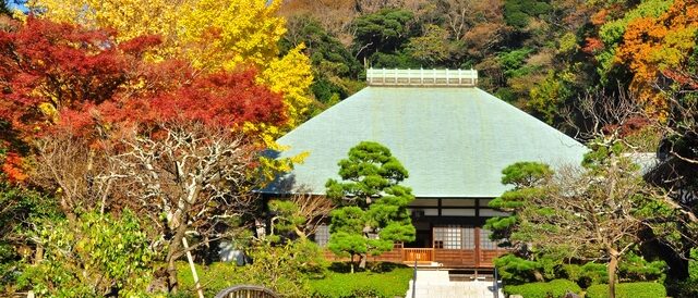 浄妙寺の紅葉