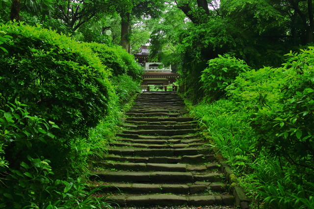 浄智寺 pixta_11143803_S | Kamakura Travel Complete Guide Jochi-ji Temple