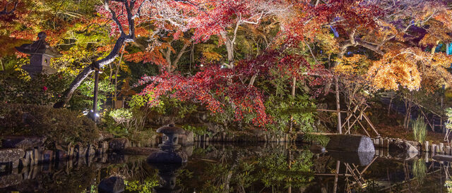 長谷寺の紅葉