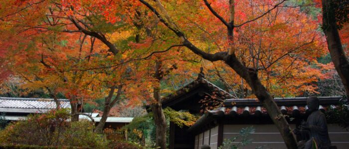 瑞泉寺の紅葉