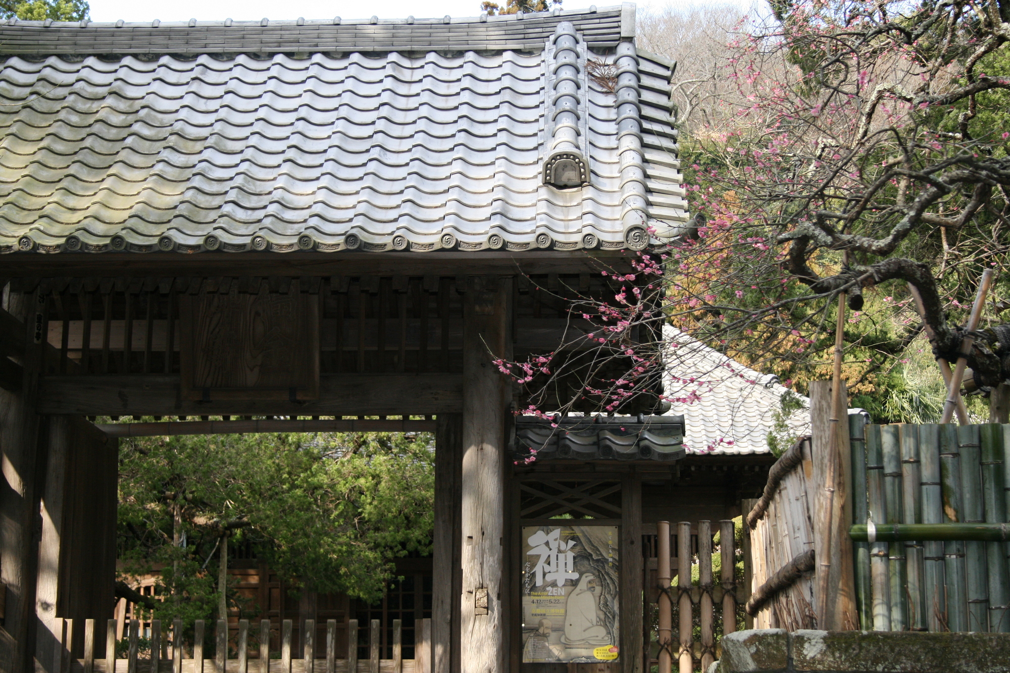 寿福寺の梅 pixta_20855667_M | 카마쿠라 관광 완전 가이드 寿福寺の梅