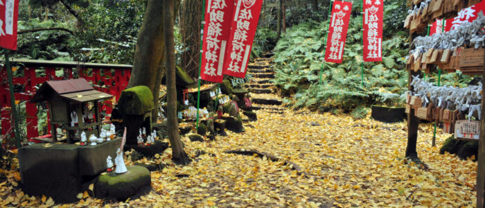 佐助稲荷神社の紅葉