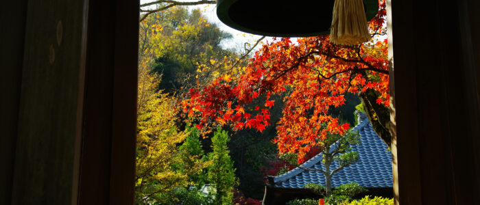 海蔵寺の紅葉