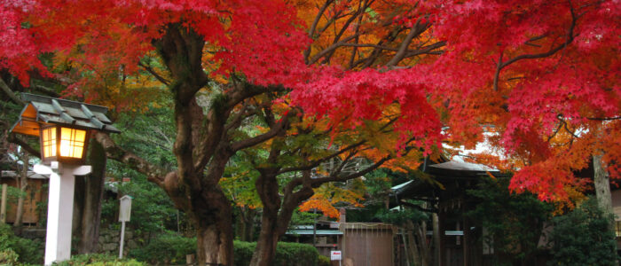 鎌倉宮の紅葉