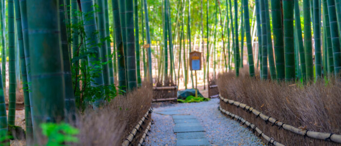 Hokoku-ji Temple