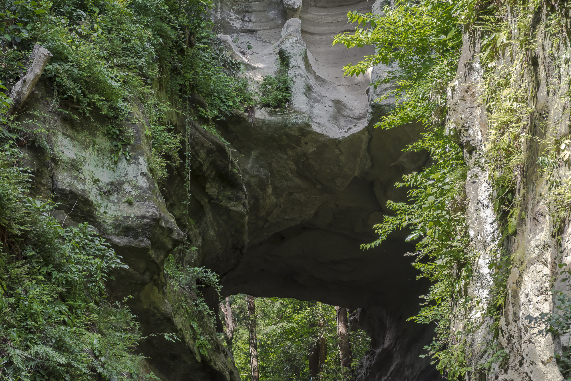 大町釈迦堂口遺跡