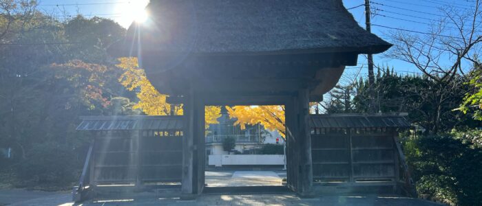 龍宝寺