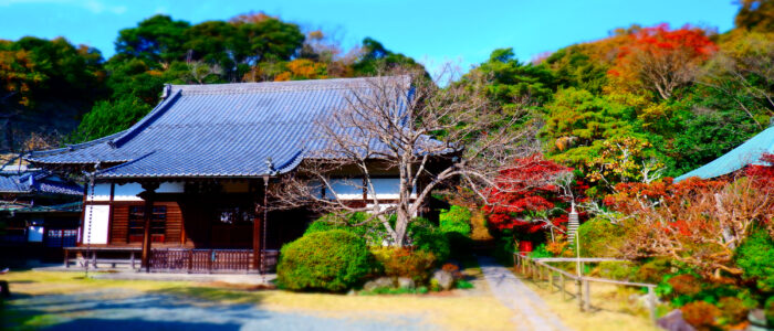 鎌倉浄光明寺