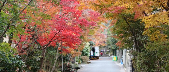 海蔵寺の紅葉