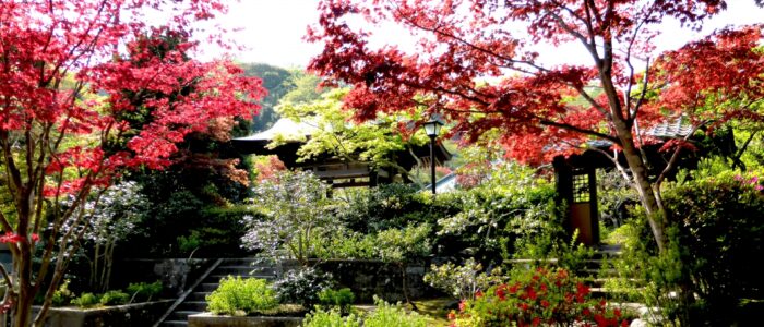 海蔵寺の紅葉
