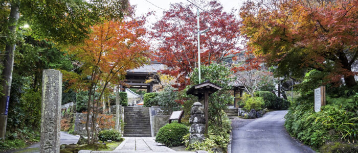 海蔵寺の紅葉