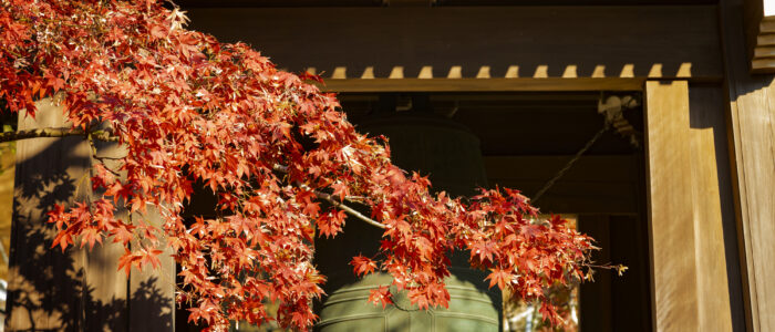 海蔵寺の紅葉