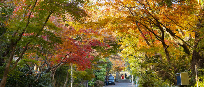 海蔵寺の紅葉