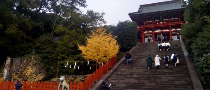 鶴岡八幡宮の紅葉