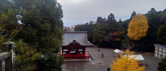 鶴岡八幡宮の紅葉