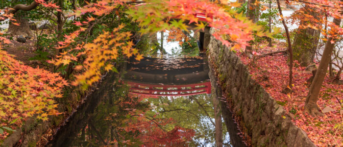 鶴岡八幡宮の紅葉