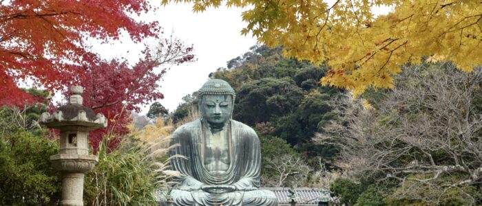 高徳院の紅葉
