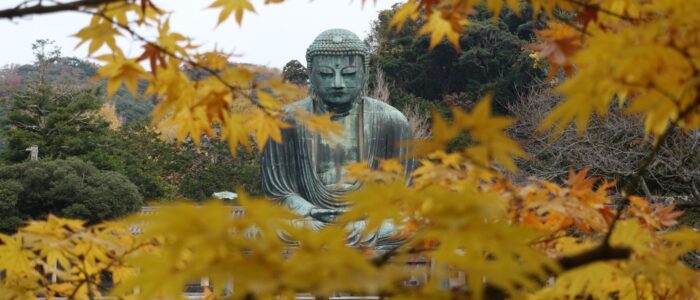 高徳院の紅葉