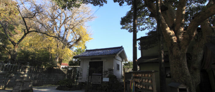 御霊神社の紅葉