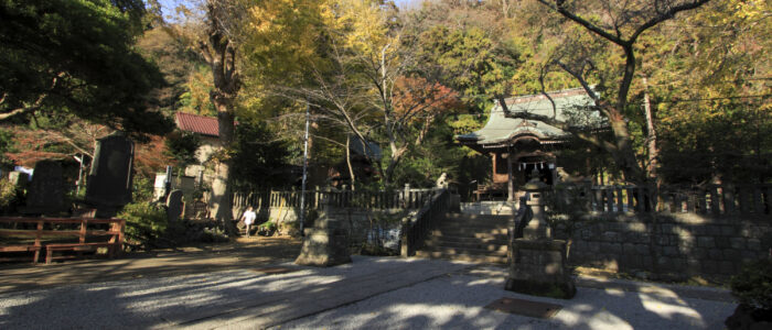 御霊神社の紅葉