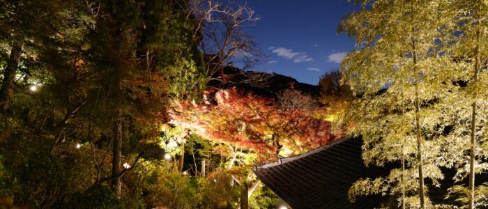 長谷寺の紅葉