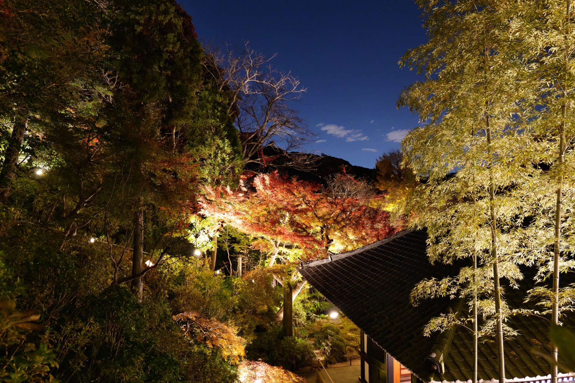 鎌倉の長谷寺の紅葉 31444131_m | 가마쿠라 관광 완전 가이드 長谷寺の紅葉