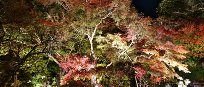 長谷寺の紅葉