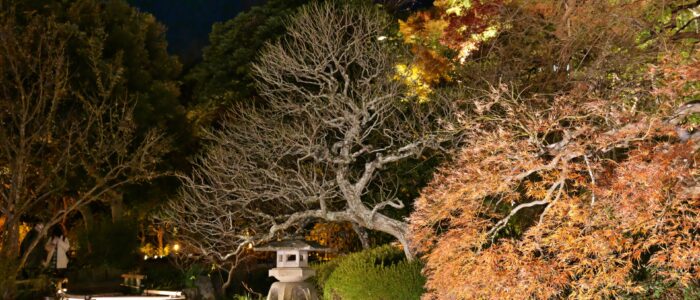 長谷寺の紅葉