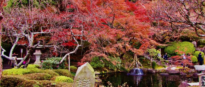 長谷寺の紅葉