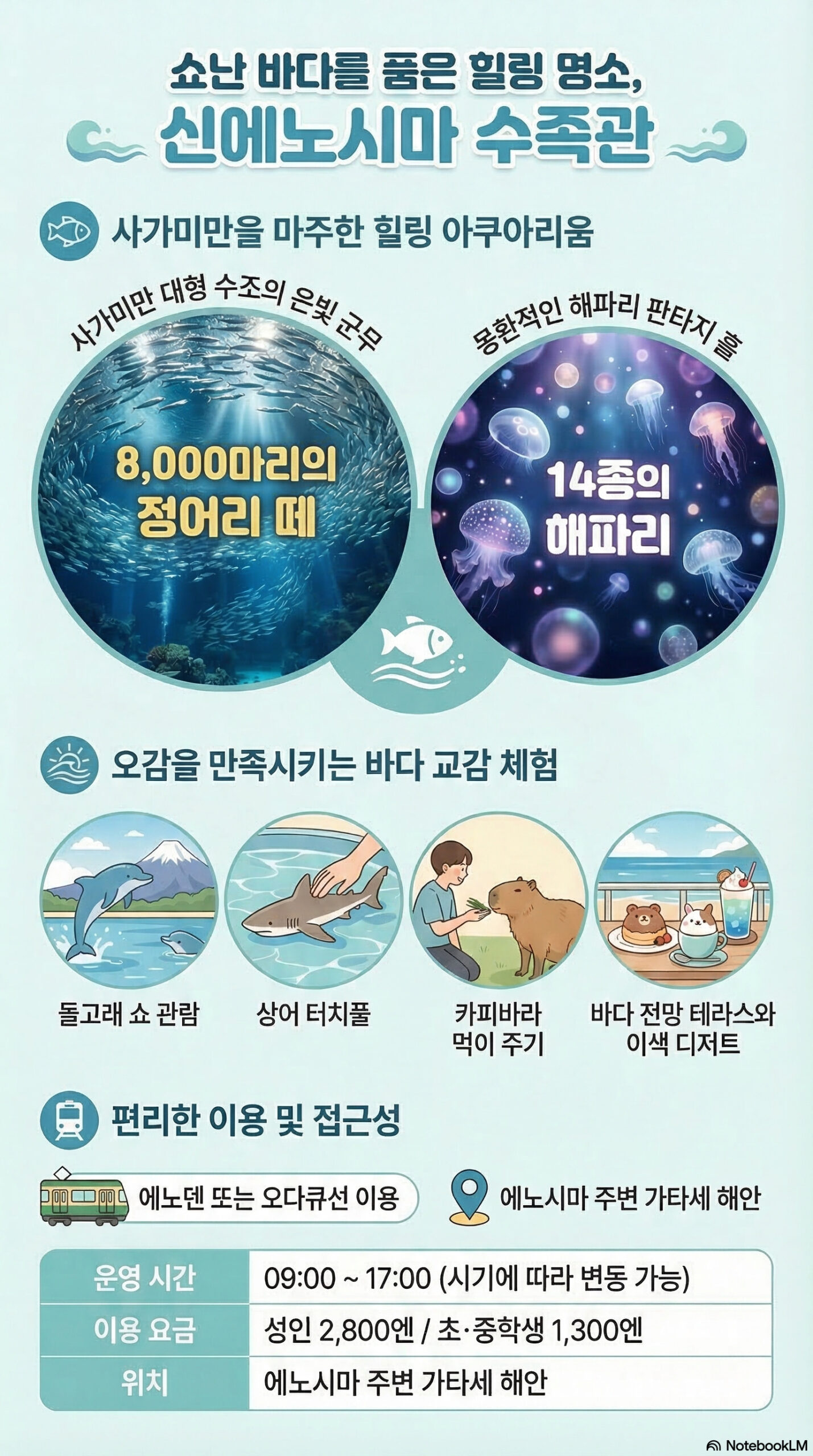 신 에노시마 수족관 관광 정보 인포그래픽