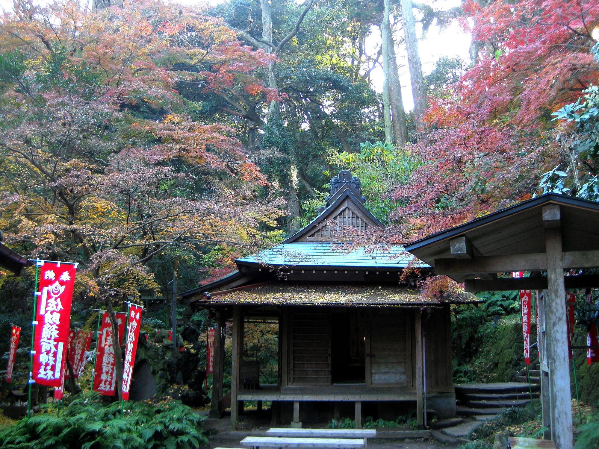 佐助稲荷神社の紅葉