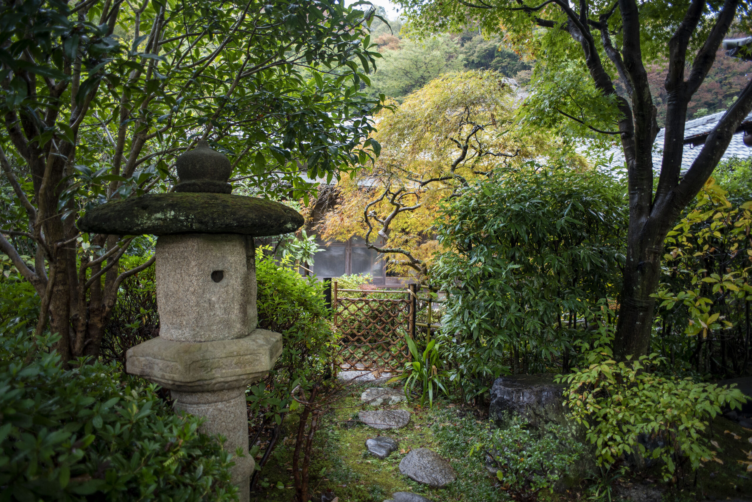 光則寺の紅葉苔むす灯籠と紅葉の庭pixta_108863724_L | 镰仓观光完全指南 光則寺の紅葉 苔むす灯籠と紅葉の庭