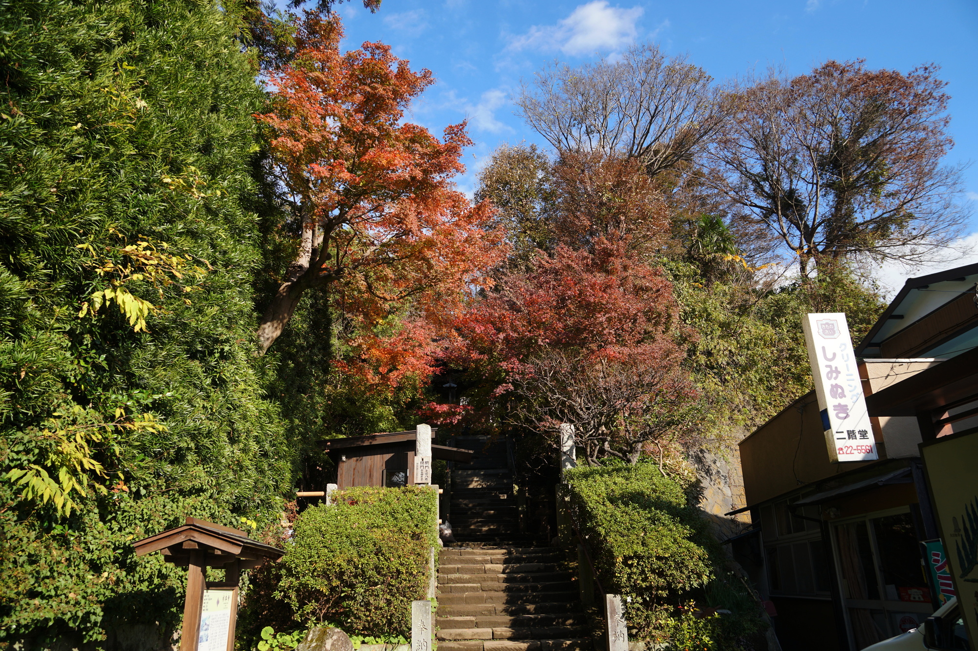 杉本寺の紅葉参道入口の石段と秋色の木々pixta_46316720_M | Kamakura Guide 杉本寺の紅葉-参道入口の石段と秋色の木々