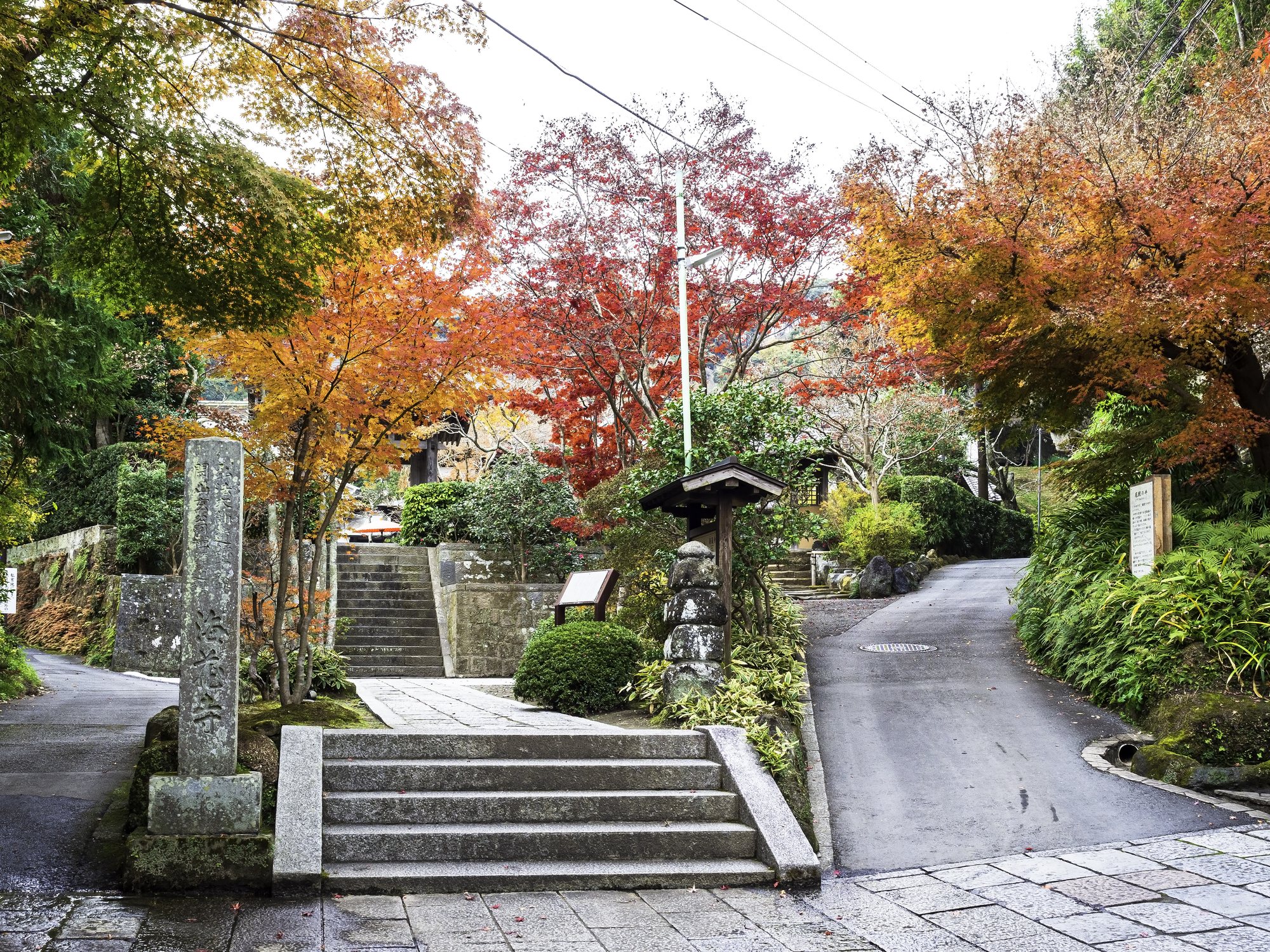 海蔵寺の紅葉-紅葉に包まれた山門への参道