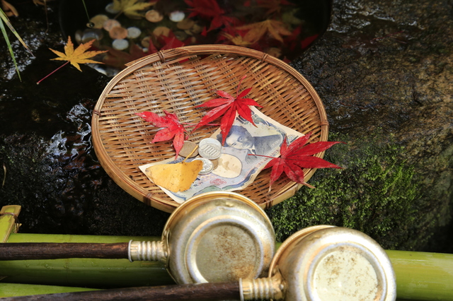 銭洗弁財天の紅葉 | 鎌倉観光完全ガイド 銭洗弁財天の紅葉