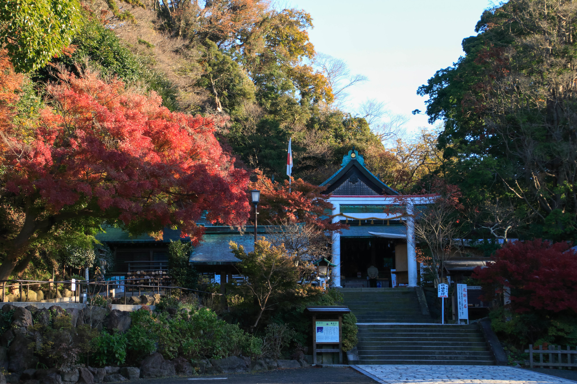 鎌倉宮の紅葉-鎌倉宮を彩る秋の光