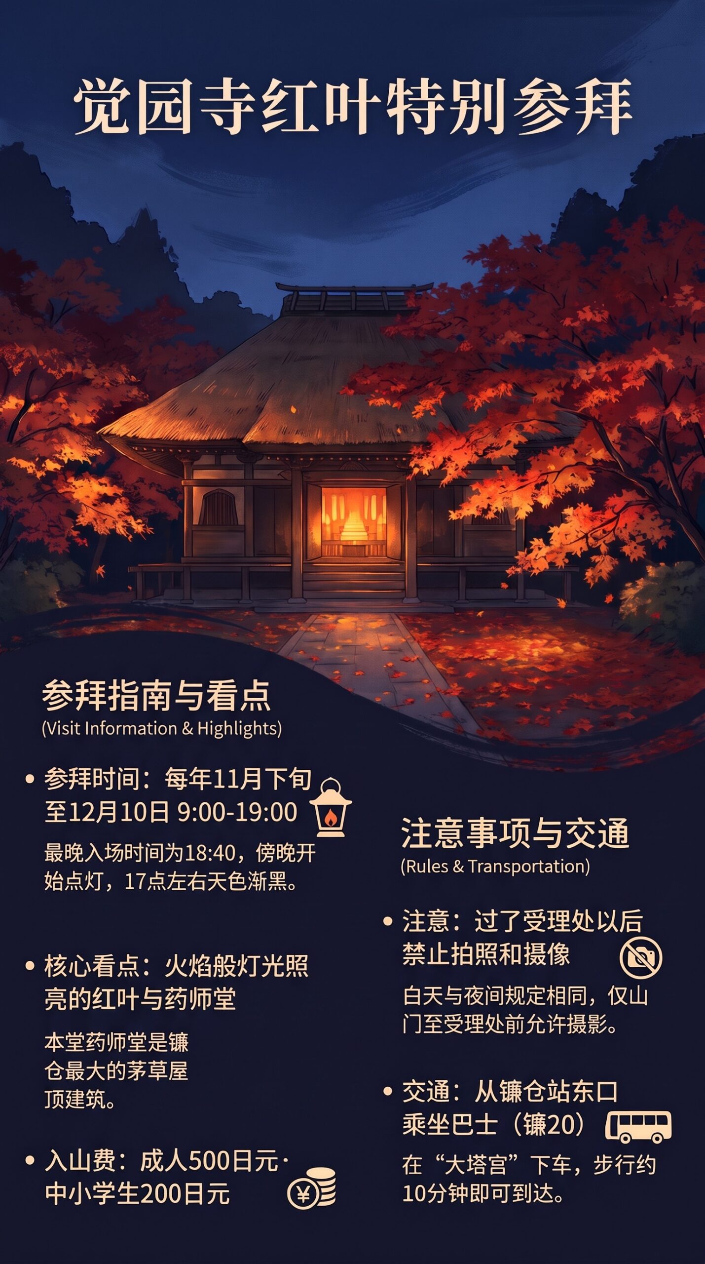 觉园寺红叶特别参拜的信息图。夜晚的红叶与茅草屋顶的药师堂，以及日期、时间、入山费、看点、拍摄注意事项和交通