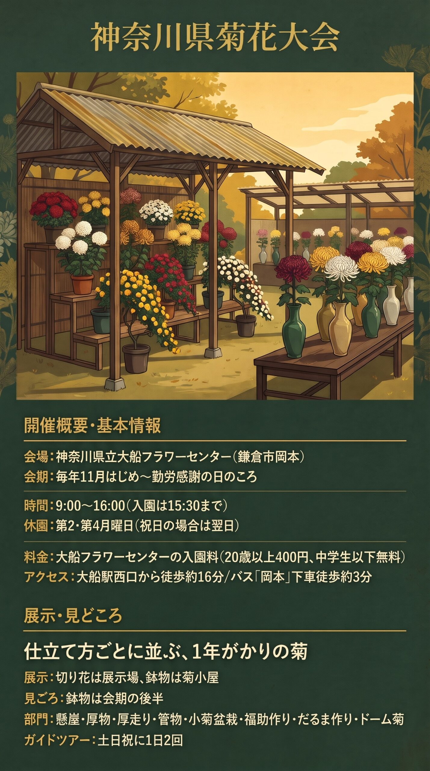 神奈川県菊花大会のインフォグラフィック。菊小屋に並ぶ鉢物と台に並ぶ切り花、会場・会期・時間・休園・料金・展示・部門・アクセス